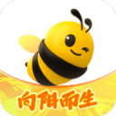 三战赢116分，辽宁男篮全运会上吊打对手，郭艾伦都扣篮了，冠军稳了吗？